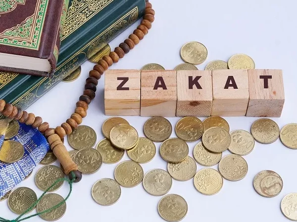 طبيعة نشاط المستغلات ومدى خضوعه للزكاة ؟